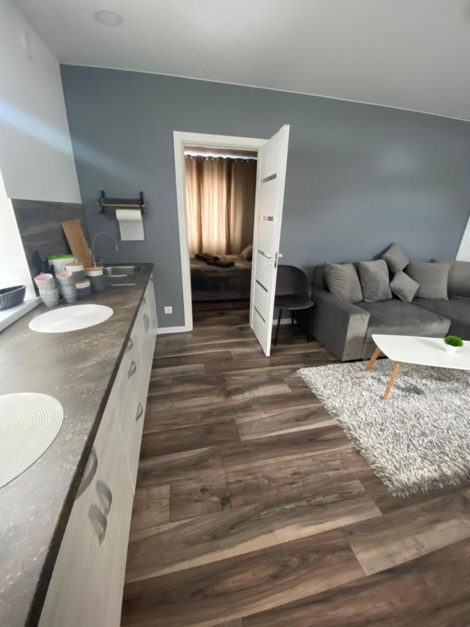 Trumpalaike Nuoma-Apgyvendinimas Rokiskis Extérieur photo